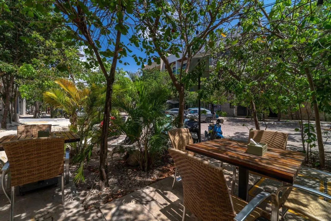 King Studio With Rooftop Pool And Gym Tulum